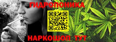 индика Донской