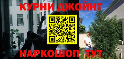 индика Донской
