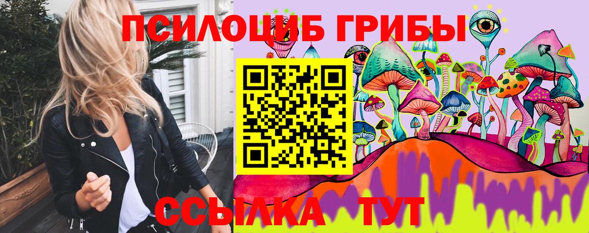 Мыски  дарнет шоп  Вход с VPN  Псилоцибиновые грибы Psilocybe 