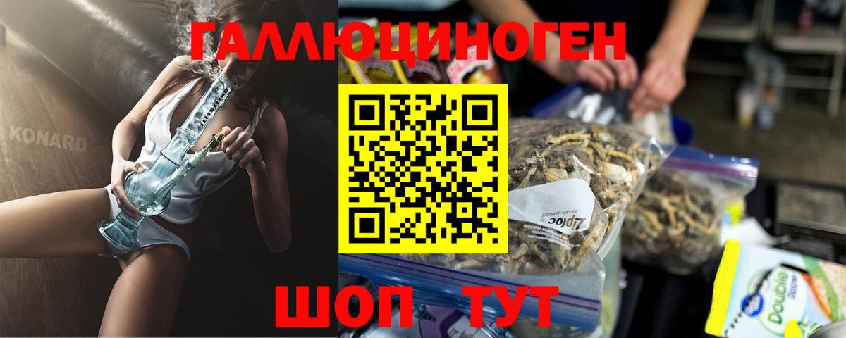 Псилоцибиновые грибы Psilocybine cubensis Мыски